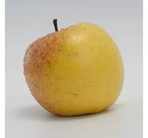 Саджанець яблуні сорту ОРІОН