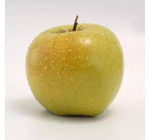 Саджанець яблуні сорту СІРІУС