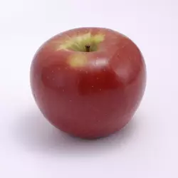 Саджанці яблуні сорту Розела (стійкий до парші)