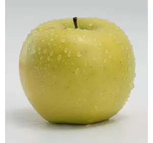 Саджанці яблуні сорту Луна (стійкі до парші)